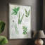 Fresh Herbs I, reproduction encadrée - bois massif-1459596940