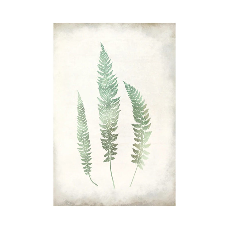 Watercolour Fern III Vintage by Kimberly Allen - Wrapped Canvas Print, 101.6 cm H x 66.04 cm W x 1.91 cm D