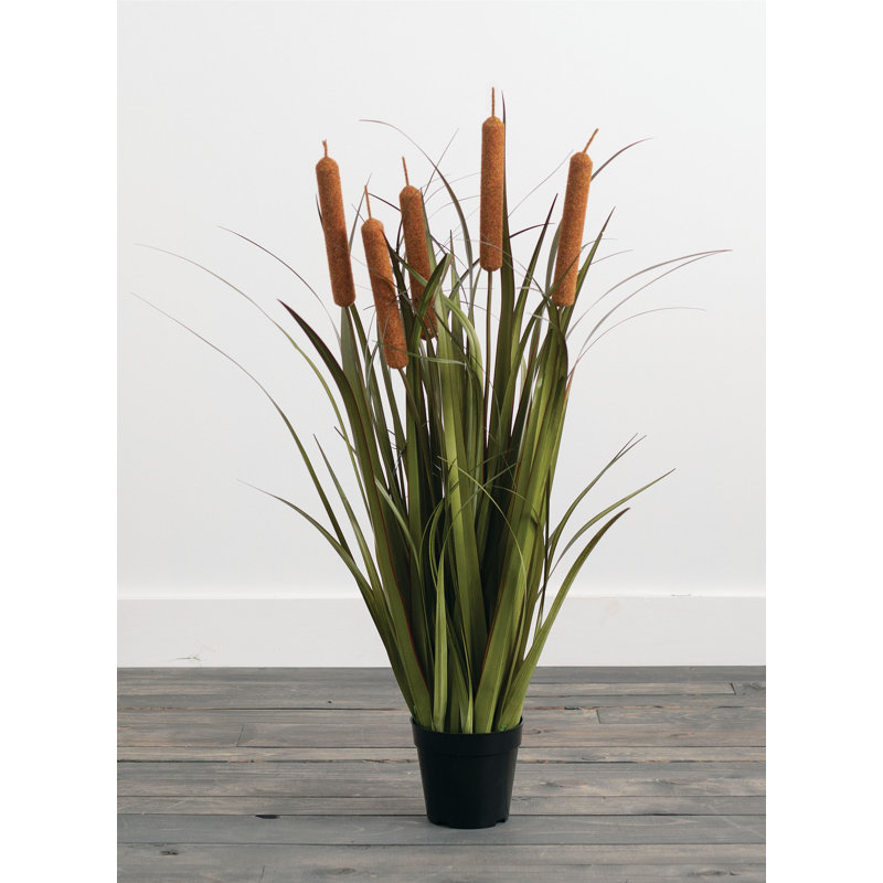 Oignon inspiré de la nature dans un pot à fleurs