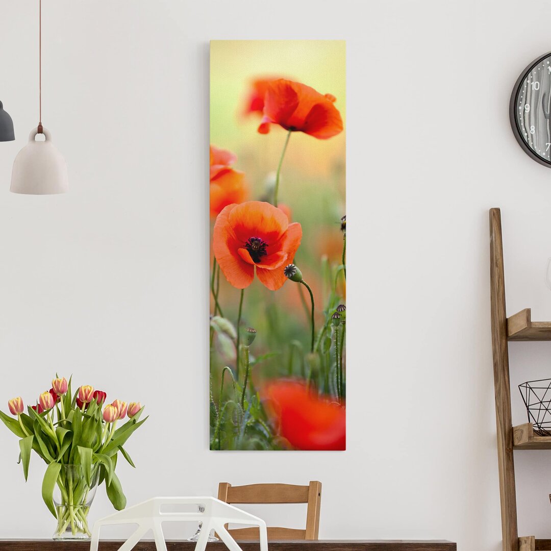 Leinwandbild Red Summer Poppy