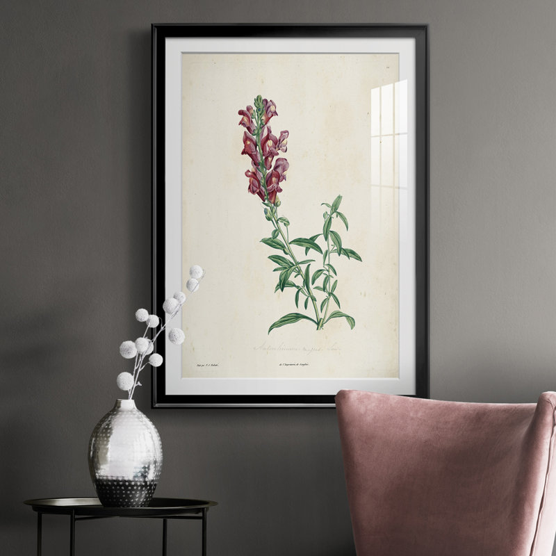 Traditional Botanical I - reproduction de cadre photo, Noir, H 30,5 po x l 22,5 po x P 1 po