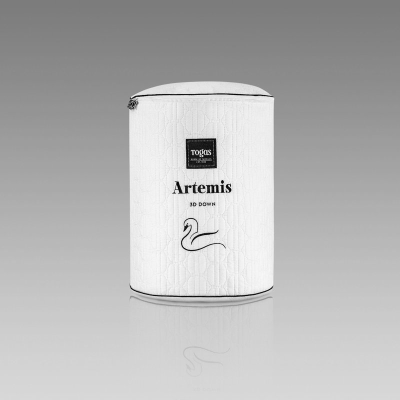 Artemis Goose All Season Down Comforter, King
