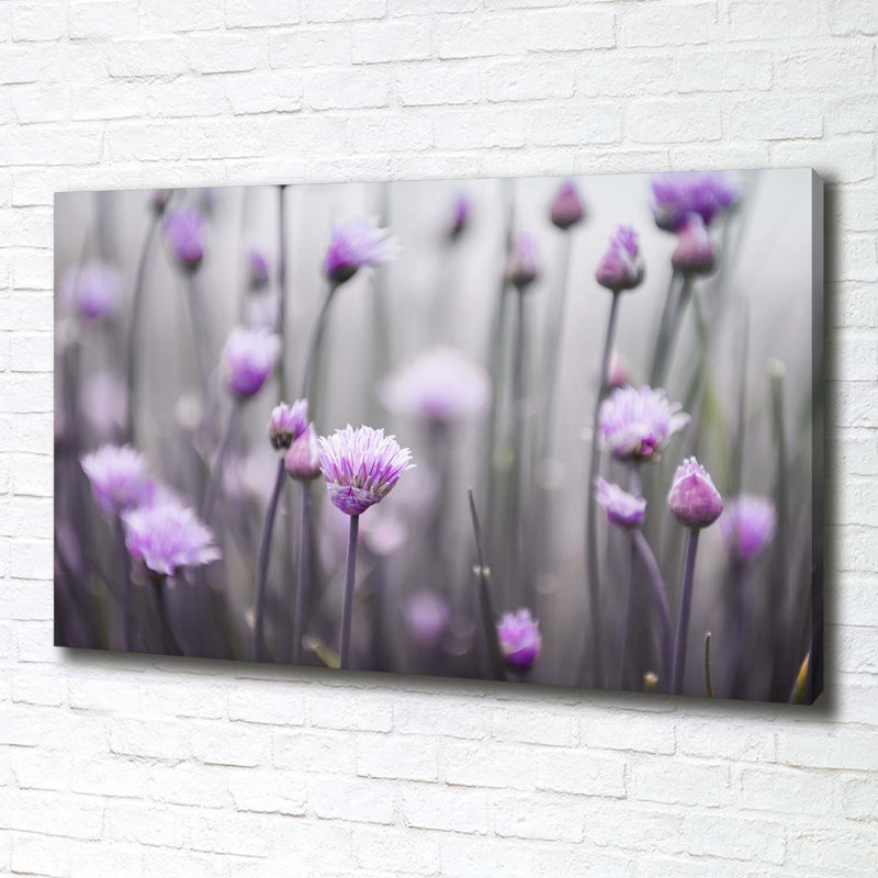 Flowers Of Chives - Wrapped Canvas Print