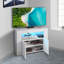 Amyjane Unfinished TV Stand for TVs up to 32"-1656839501