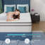 Scheinman FDW Firm Memory Foam Mattress-771834378-771834483