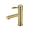 Whitehaus Collection Stainless Steel Single Lever Elevated Bathroom Faucet-1817009668
