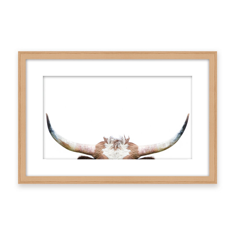 Nature Inspired Peeking Longhorn Cow by  - Picture Frame Photograph on Paper, 16" H x 24" W x 1.125" D, Framed Matted Print