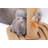 Clian Scratching Post