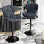 Higginsport Swivel Upholstered Adjustable Height Counter Stool with Metal Frame-1585984009