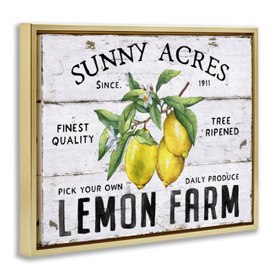  Sunny Acres Lemon Farm Framed Floater Canvas Wall Art by Creatif Belle