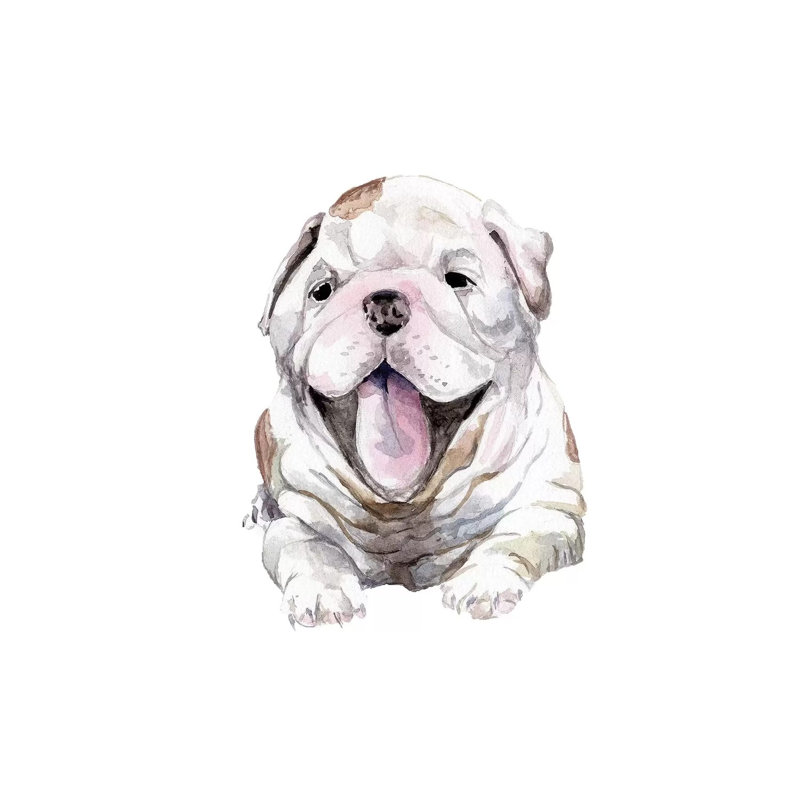 Happy Bulldog Puppy 1 Piece Wrapped Canvas Painting, 93.98 cm H x 93.98 cm W x 1.91 cm D