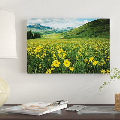 «Scenic View of Wildflowers In A Field, Crêté Butte, Colorado, USA I» par Panoramic Images - reproduction de photo sur toile tendue