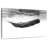 Sperm Whale I-886724754