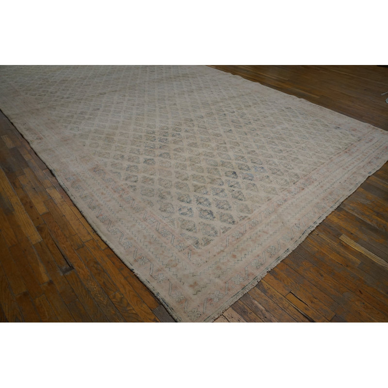 Antique Agra - Cotton Oversized Room Size Cotton Ivory Rug