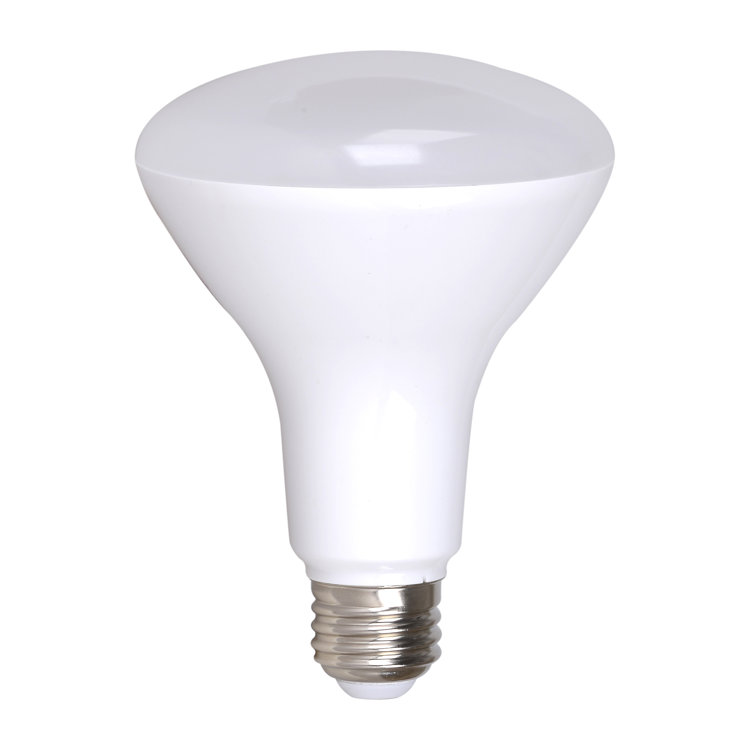 75-Watt Equivalent BR30 Dimmable LED Light Bulb, 2700K Soft White, 8-pack