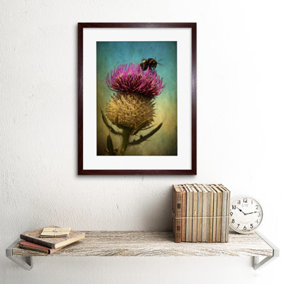 Bumble Bee Thistle Flower Scotland - Single Picture Frame Print