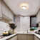 Mataponi 2-Light 27cm LED Flush Mount Ceiling Light