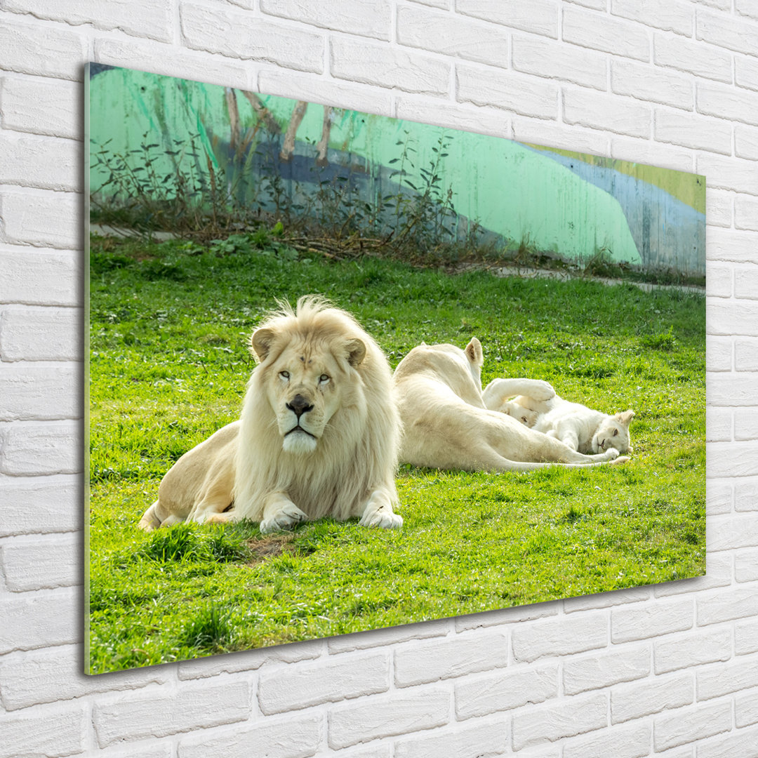 Glasbild Beige Lions