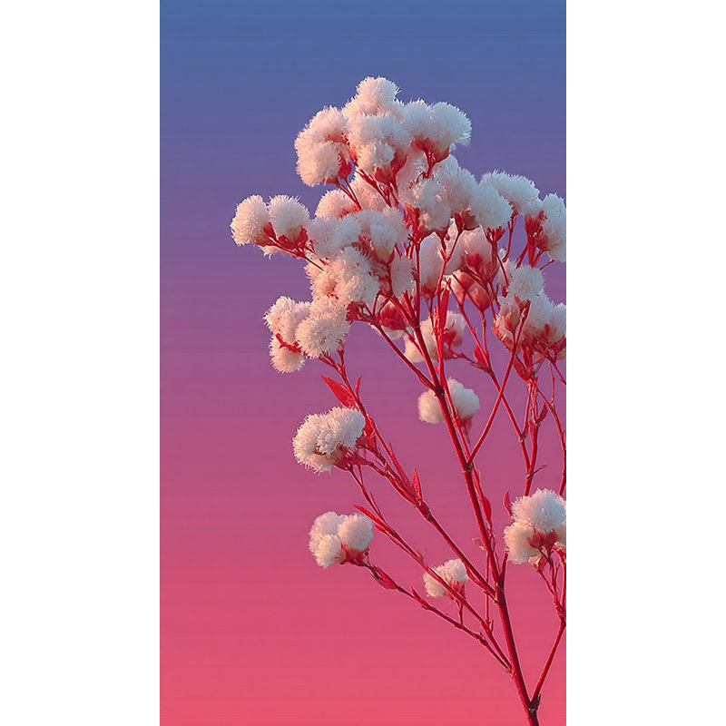 Coton, ciel, fleur de coton, art mural sur toile, H 36 po x l 20 po