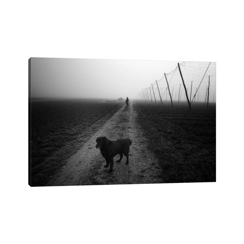 Waiting For A Friend by Jure Kravanja - Wrapped Canvas Print, 20.32 cm H x 30.48 cm W