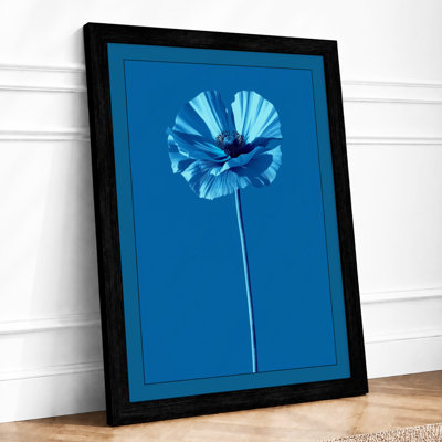 Blue Daisy Study Botanical - Print