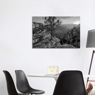 North Rim, Grand Canyon, Arizona - Wrapped Canvas Print