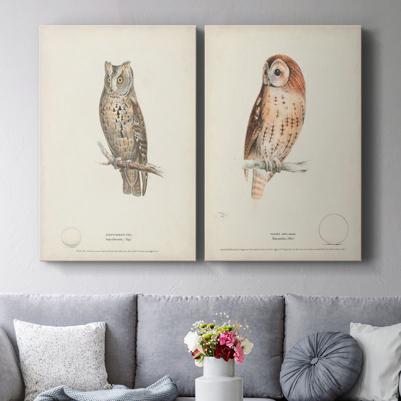 Scops Eared Owl - Toile tendue avec châssis de qualité supérieure - Prêt à être accroché, H 48 po x l 32 po