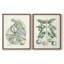 Impression encadrée Buchoz Tropicals VI-Premium - prête à être accrochée - aucun clou requis - aucun clou requis-2024996163-2024996161