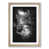 Oak Framed selected