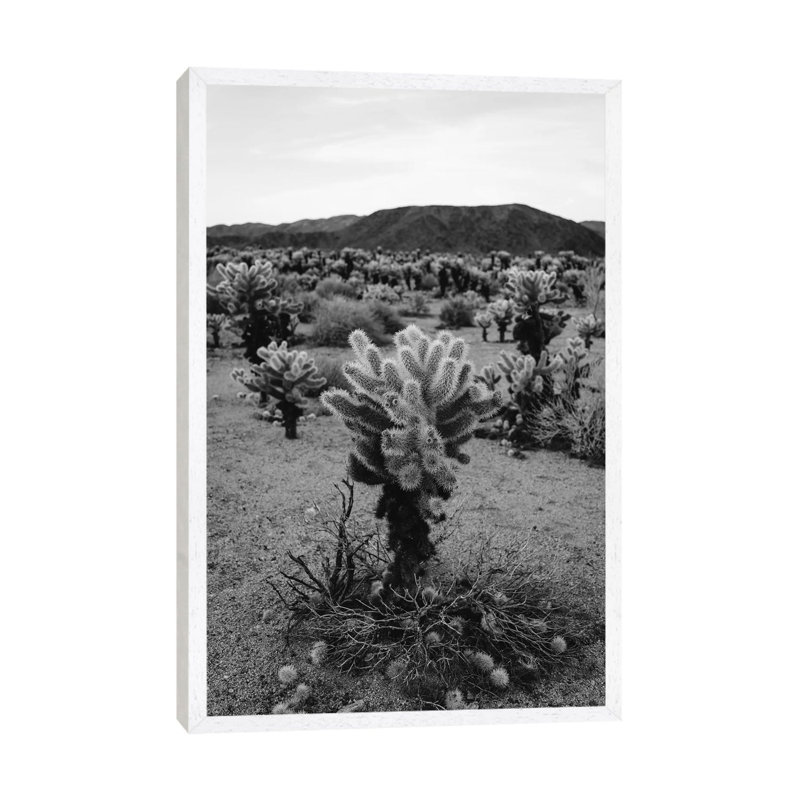 Cholla Cactus Garden V by Bethany Young - Print on Canvas, White Framed, 66.04cm H x 45.72cm W x 3.81cm D