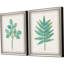 Botanical II Set by THE Studio