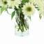 White Rudbeckia In Glass Vase