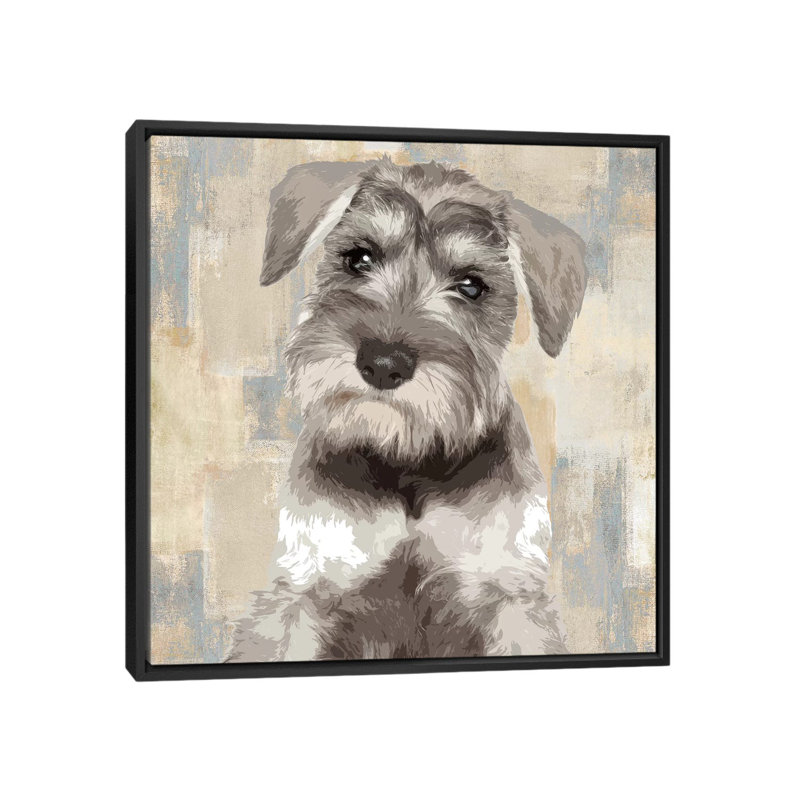 « miniature schnauzer », impression sur toile, H 18 po x l 18 po x P 1,5 po, Toile encadrée noire, Pas de tapis