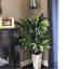 Photos des clients 1 de 1