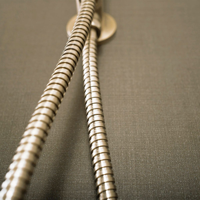 DAX Brass Shower Hose, Matte Black