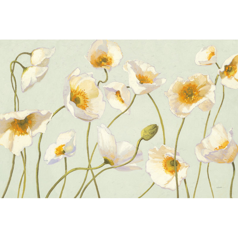 White And Bright Poppies by Shirley Novak - Wrapped Canvas Print, 20cm H x 30cm W