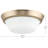 Edessa Flush Mount with Satin Etched Glass-2070630298-2070630293-2070630294