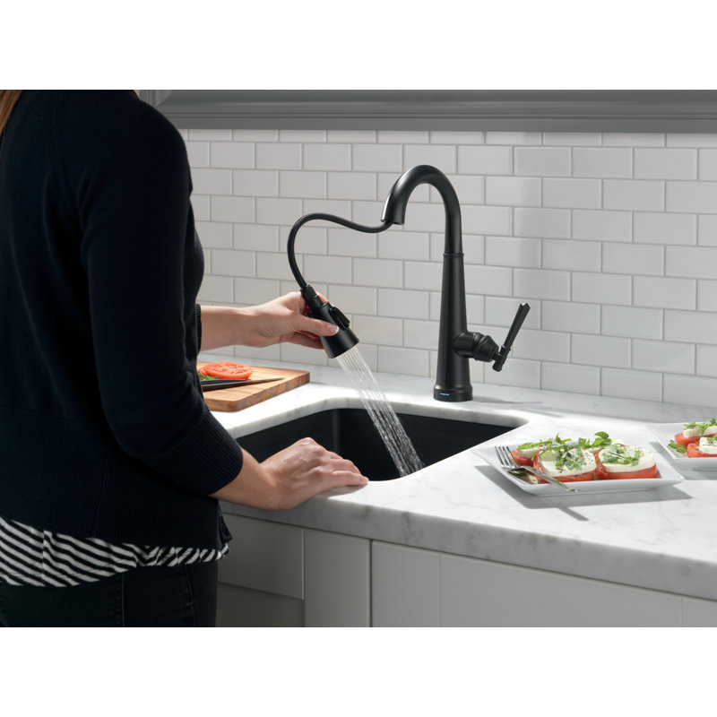 Robinet de cuisine à poignée simple Emmeline, Noir mat