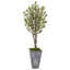 Arbre d’olive artificiel 51" dans un pot de fleurs