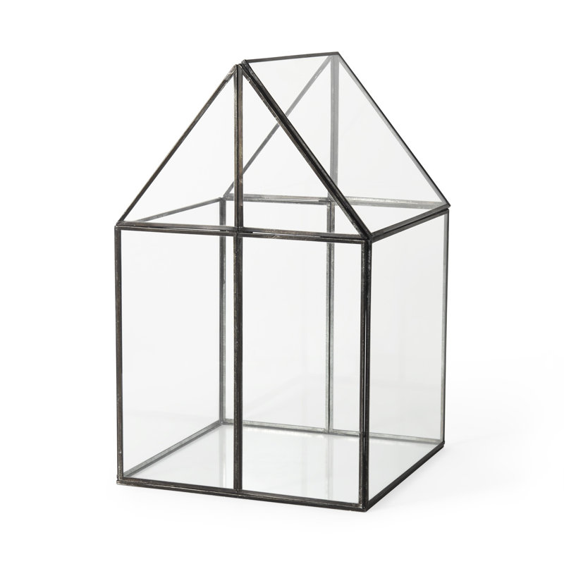 Amarina Clear And Black Glass and Metal Terrarium Box, 16" H x 10" W x 10" D