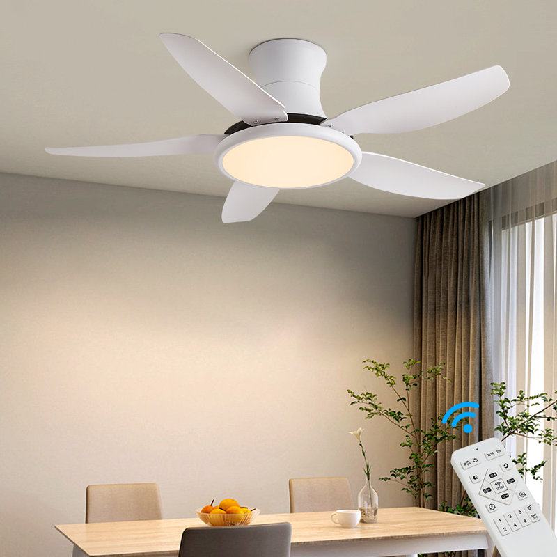 Andreano 122cm Ceiling Fan with LED Lights, White