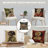 Cushion Covers-120132267