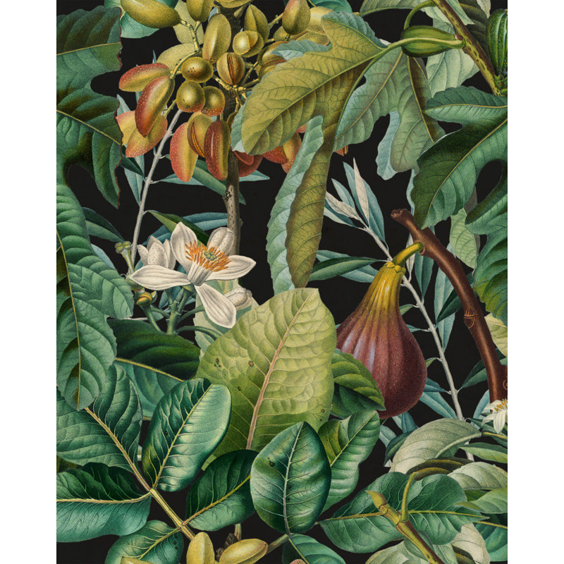 Tropical Wanderlust Wallpaper Roll