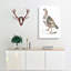 Pheasant Grouse Illustration by John Edward Gray - Wrapped Canvas-55366430