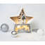Tiskilwa Christmas Decorative Accent