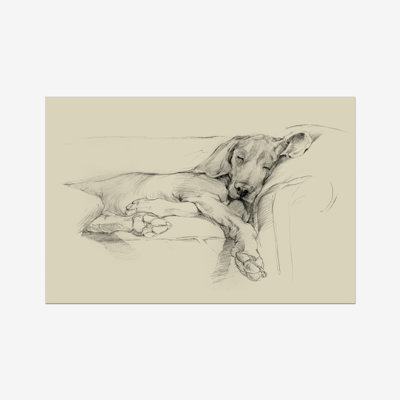 Dog Days I by Ethan Harper - Wrapped Canvas Print