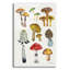 Art mural en verre épique «Forest Mushroom 2 C» par Farida Zaman, 16 po x 24 po-1304679355
