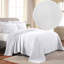 Ensemble de couvre-lit et taies décoratives 100 % coton texturé à médaillon de style moderne et contemporain Swanton-113476020-113476011