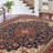 Clarence Indoor Rug-1498613585