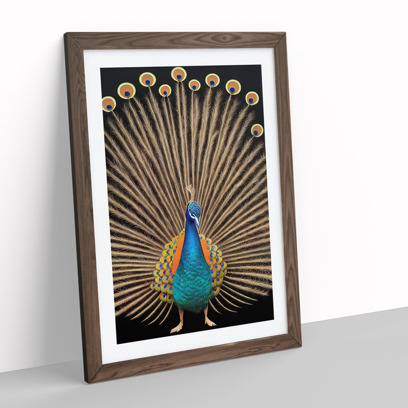 Feathers Of A Peacock - Single Picture Frame Print, 34cm H x 25cm W x 2cm D, Walnut
